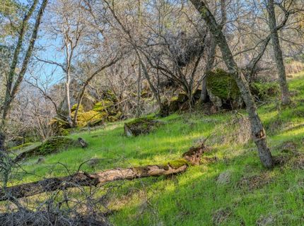 14994 Fremont Mine Rd, Sutter Creek, CA 95685 Photo