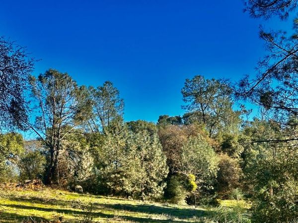 7317 La Porte Rd, Rackerby, CA 95972