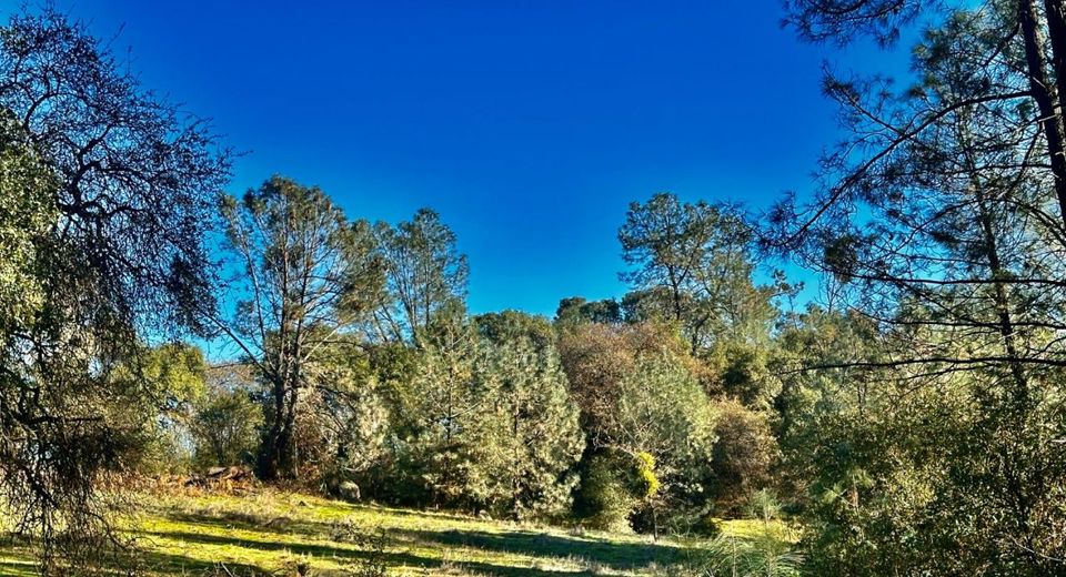 7317 La Porte Rd, Rackerby, CA 95972 Photo