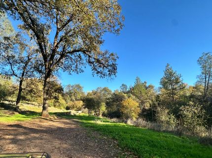 7317 La Porte Rd, Rackerby, CA 95972 Photo