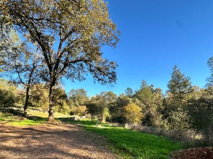 7317 La Porte Rd, Rackerby, CA 95972 Photo