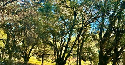 7317 La Porte Rd, Rackerby, CA 95972 Photo