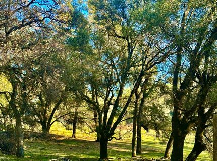 7317 La Porte Rd, Rackerby, CA 95972 Photo