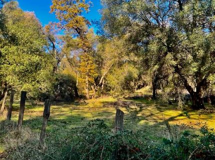 7317 La Porte Rd, Rackerby, CA 95972 Photo