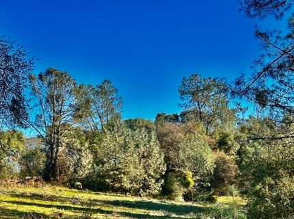 7317 La Porte Rd, Rackerby, CA 95972 Photo