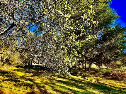 7317 La Porte Rd, Rackerby, CA 95972 Photo
