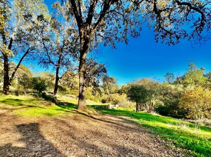 7317 La Porte Rd, Rackerby, CA 95972 Photo