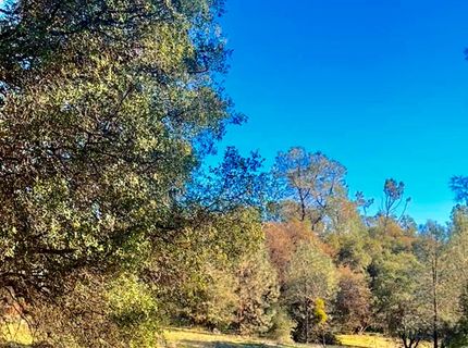 7317 La Porte Rd, Rackerby, CA 95972 Photo