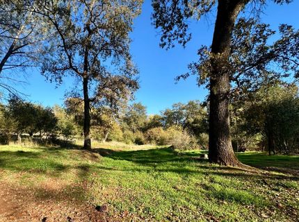7317 La Porte Rd, Rackerby, CA 95972 Photo