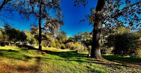 7317 La Porte Rd, Rackerby, CA 95972 Photo