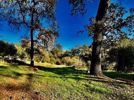 7317 La Porte Rd, Rackerby, CA 95972 Photo