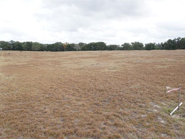 00 (TBD) NE 141ST STREET, CITRA, FL 32113