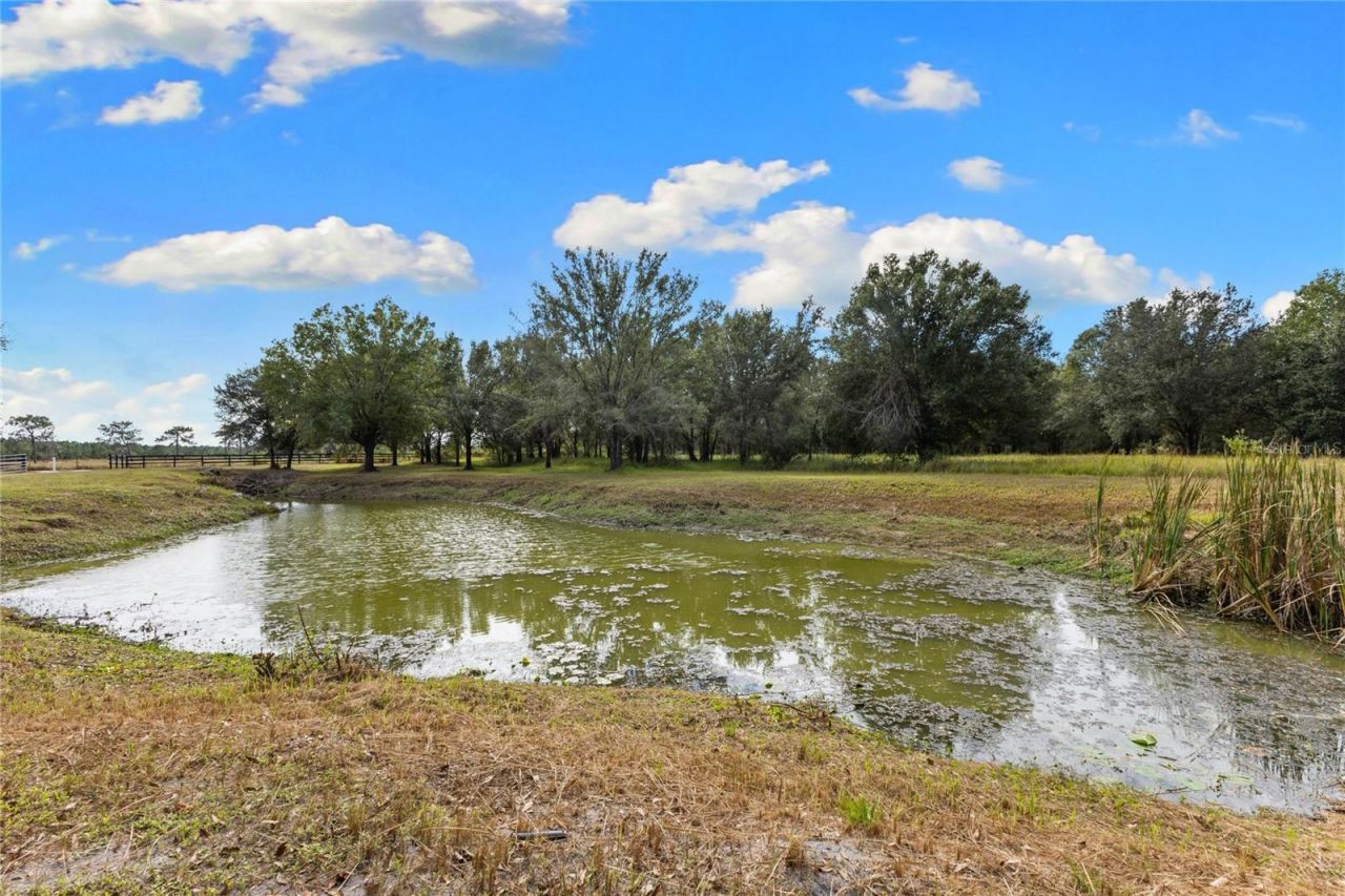 4940 Wauchula Road, Myakka City, FL 34251 Photo