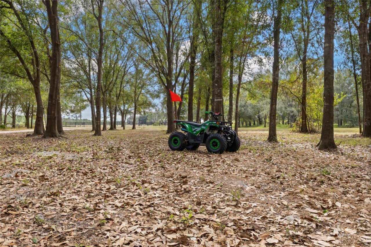 4940 Wauchula Road, Myakka City, FL 34251 Photo