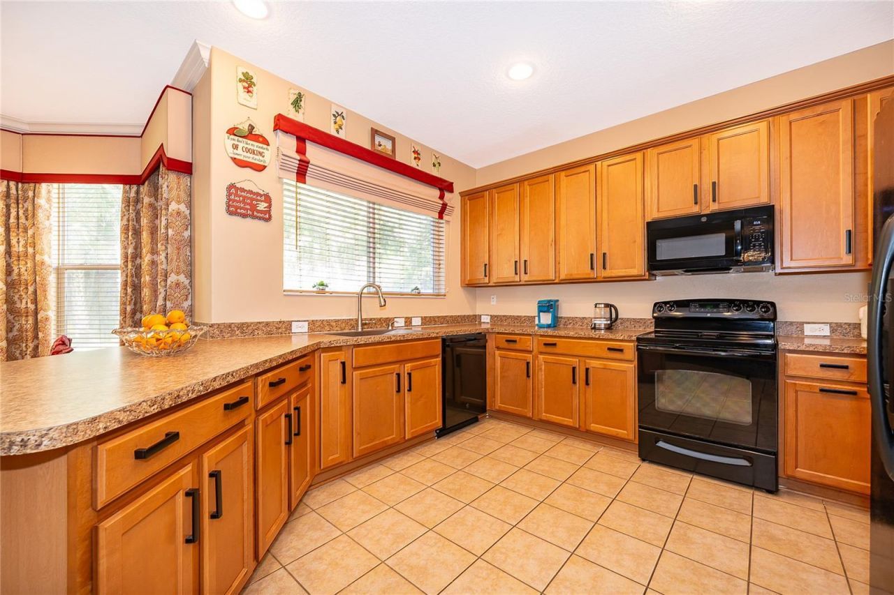 1439 Barn Owl Loop, Sanford, FL 32773 Photo