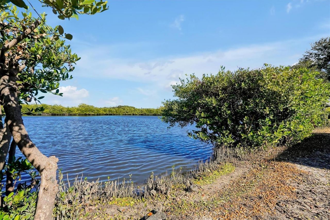 141 Cedar Dunes Drive, New Smyrna Beach, FL 32169 Photo