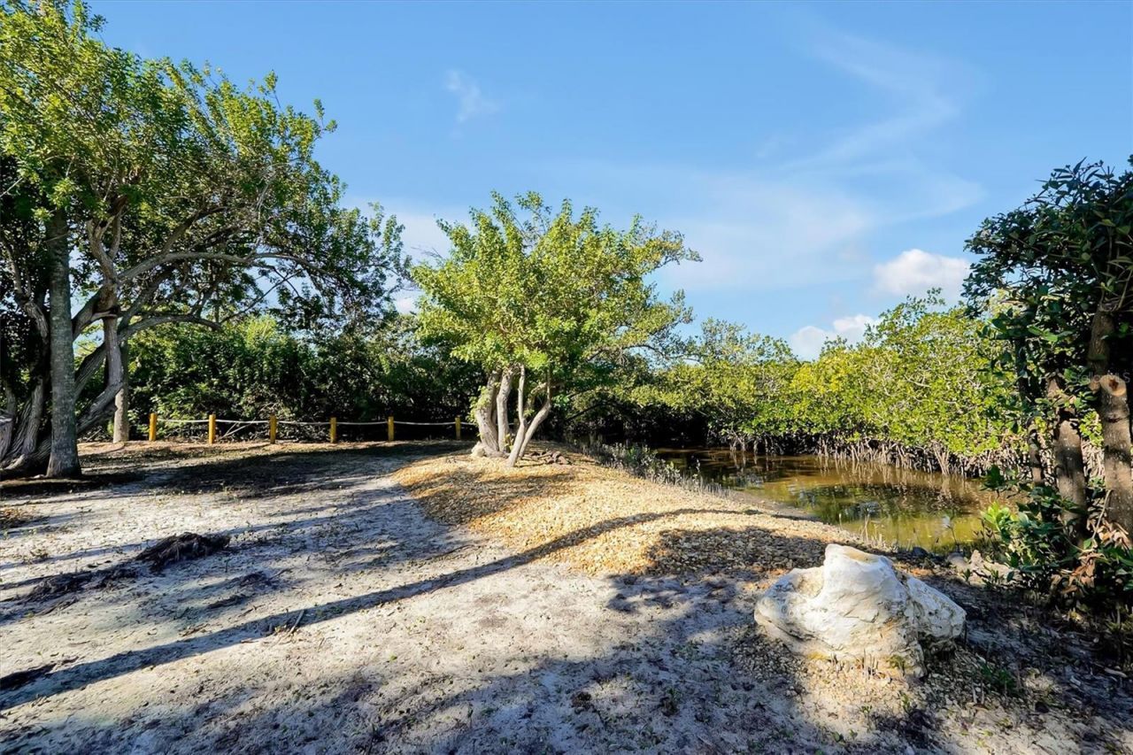 141 Cedar Dunes Drive, New Smyrna Beach, FL 32169 Photo