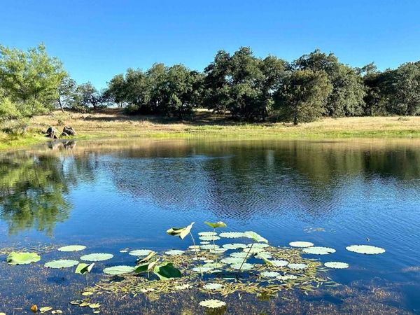 25258 Black Canyon Road, Santa Ysabel, CA 92070