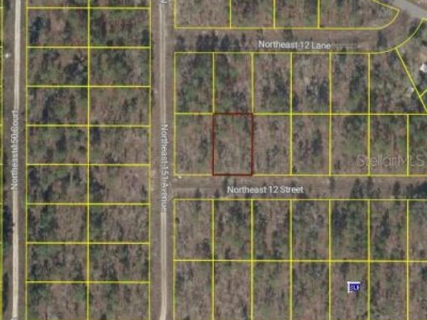 TBD NE 12 STREET, WILLISTON, FL 32696