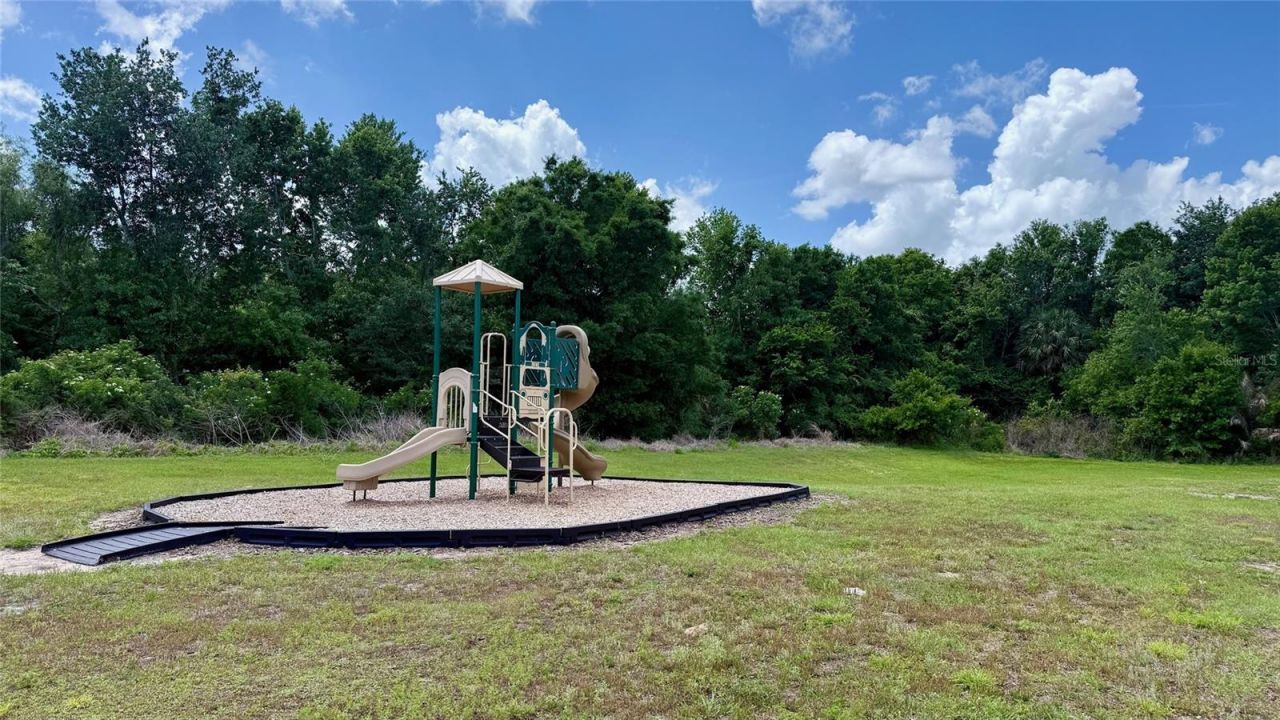 1256 Yellow Finch Drive, Davenport, FL 33837 Photo