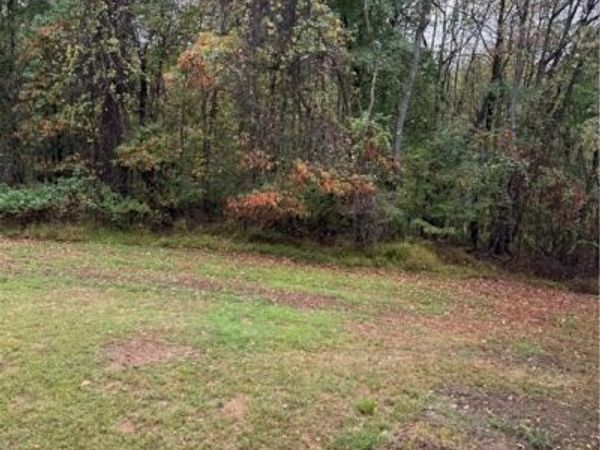 204 Reichart Avenue, Unit 3, Wintersville, OH 43953