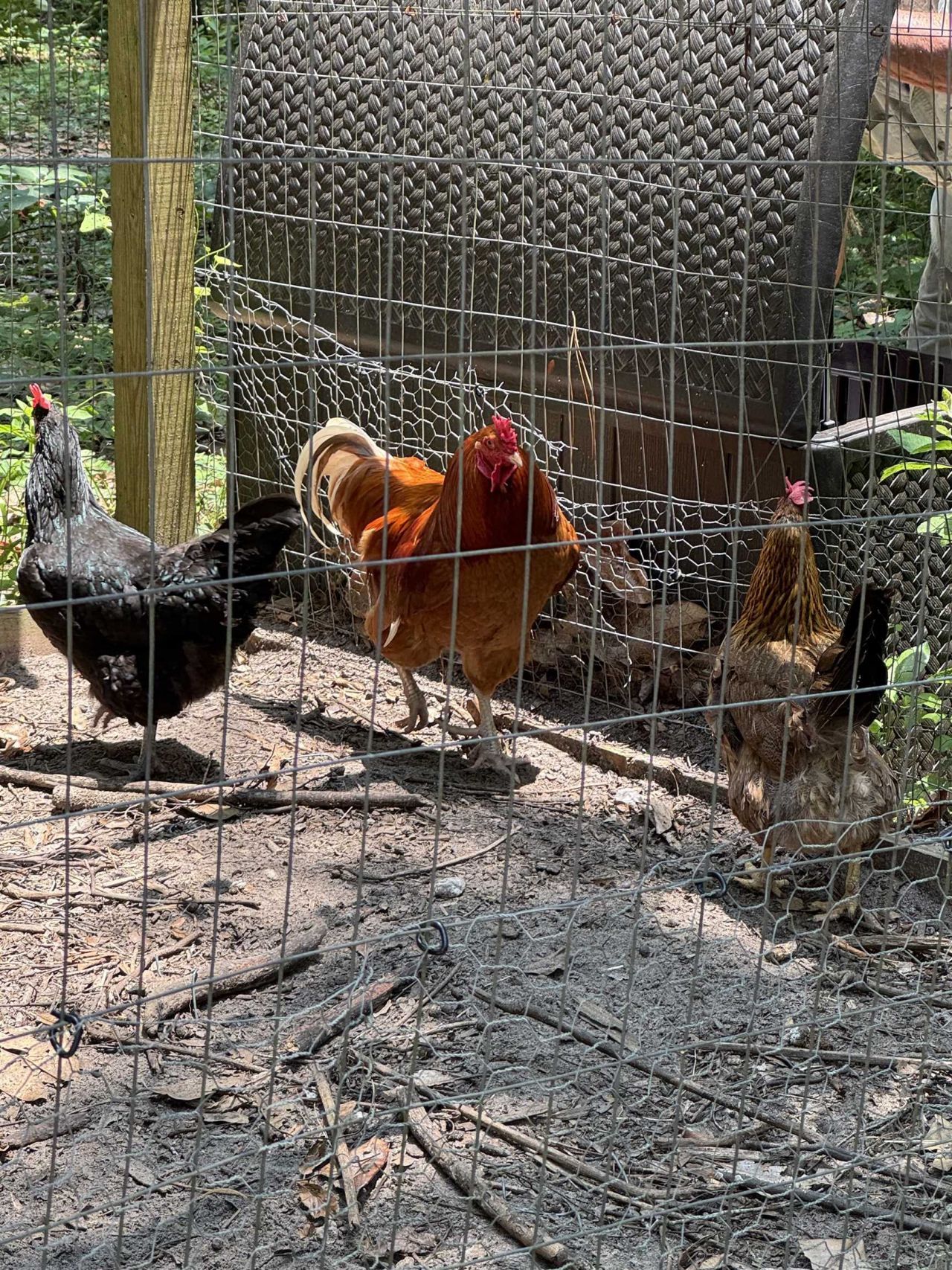 39 Wiregrass Lane, Quincy, FL 32351 Photo