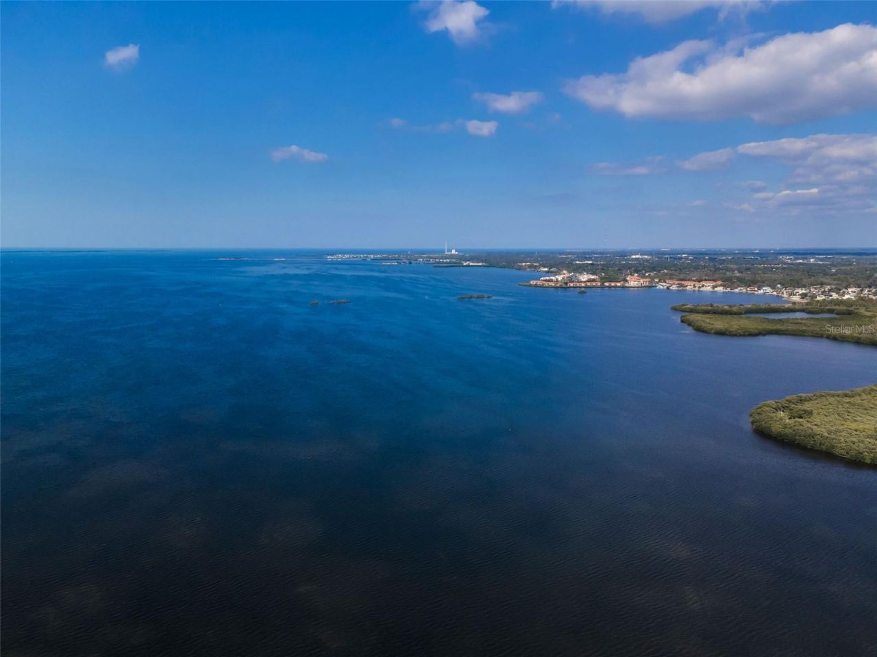 110 Carlyle Circle, Palm Harbor, FL 34683 Photo