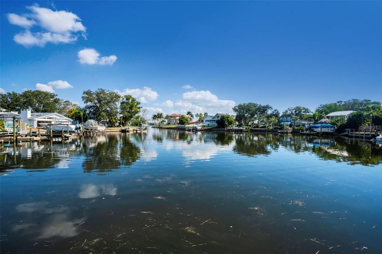 110 Carlyle Circle, Palm Harbor, FL 34683 Photo