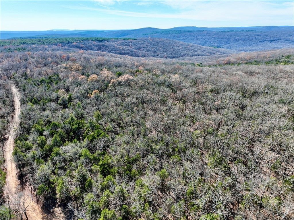 Tbd Liberty Hill Road, Natural Dam, AR 72948 Main Photo