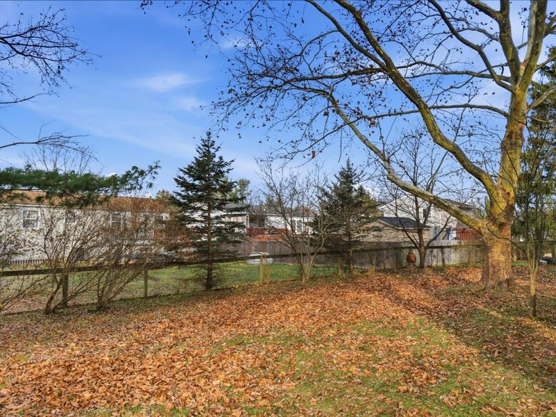 4367 Scissortail Loop, Westerville, OH 43081 Photo 36