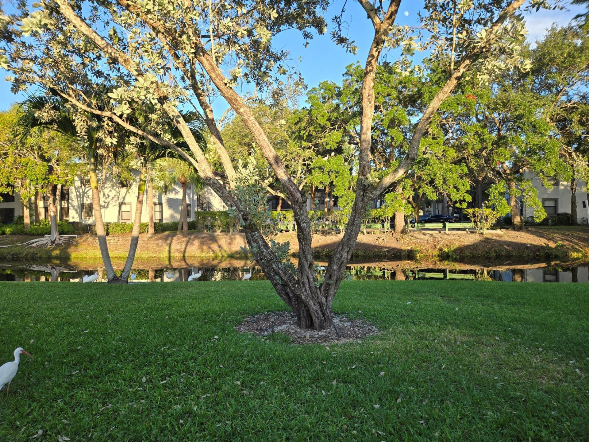 1320 NW 82nd Avenue, Plantation, FL 33322 Photo