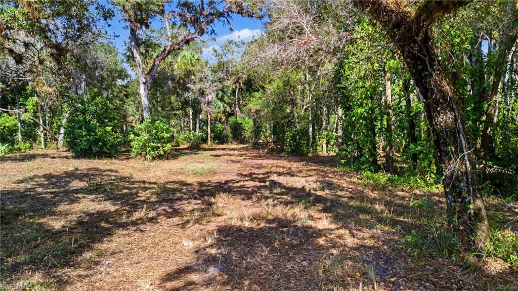 14221 River Rd, Fort Myers, FL 33905 Photo