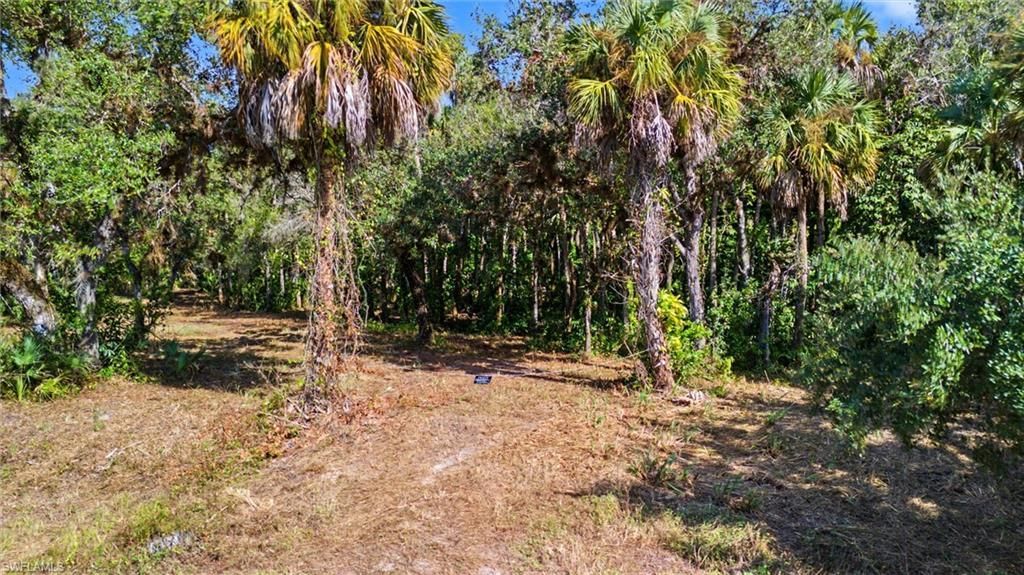 14221 River Rd, Fort Myers, FL 33905 Photo