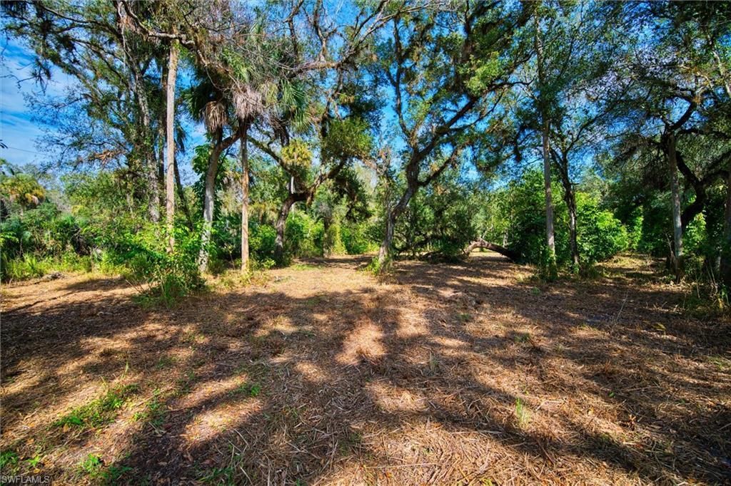 14221 River Rd, Fort Myers, FL 33905 Photo