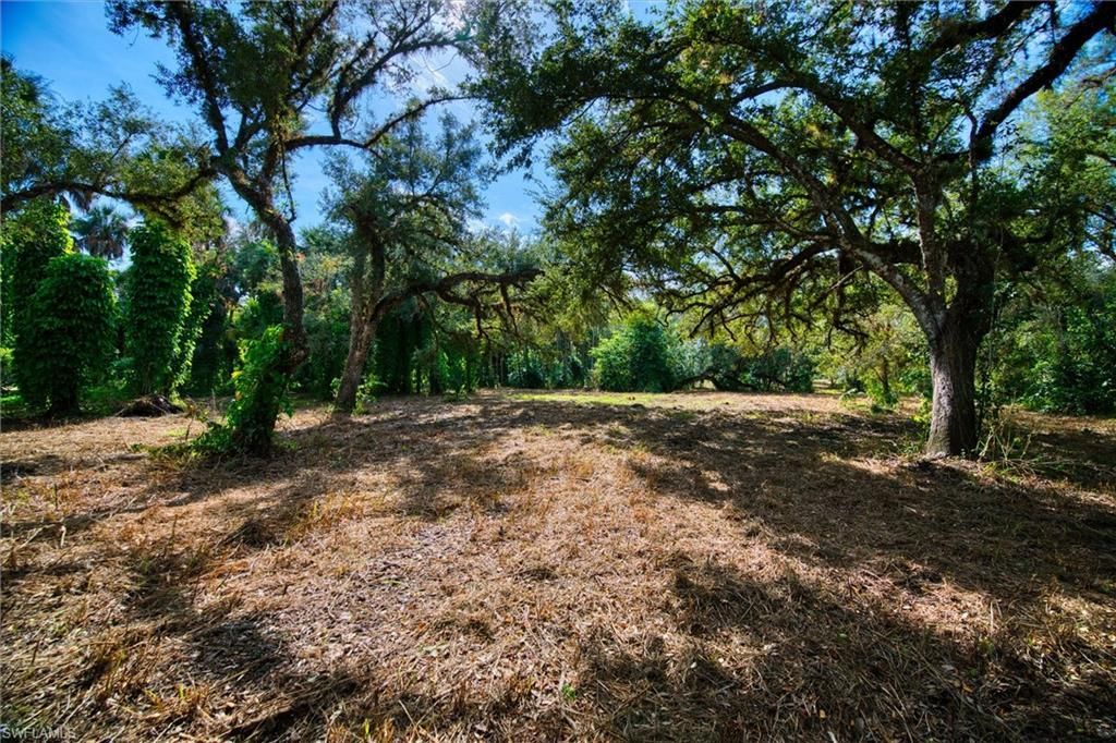14221 River Rd, Fort Myers, FL 33905 Photo