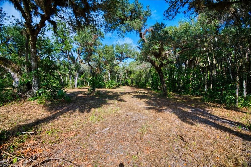 14221 River Rd, Fort Myers, FL 33905 Photo