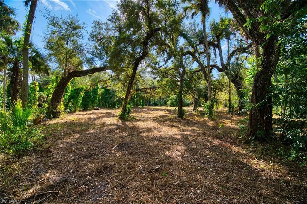 14221 River Rd, Fort Myers, FL 33905 Photo