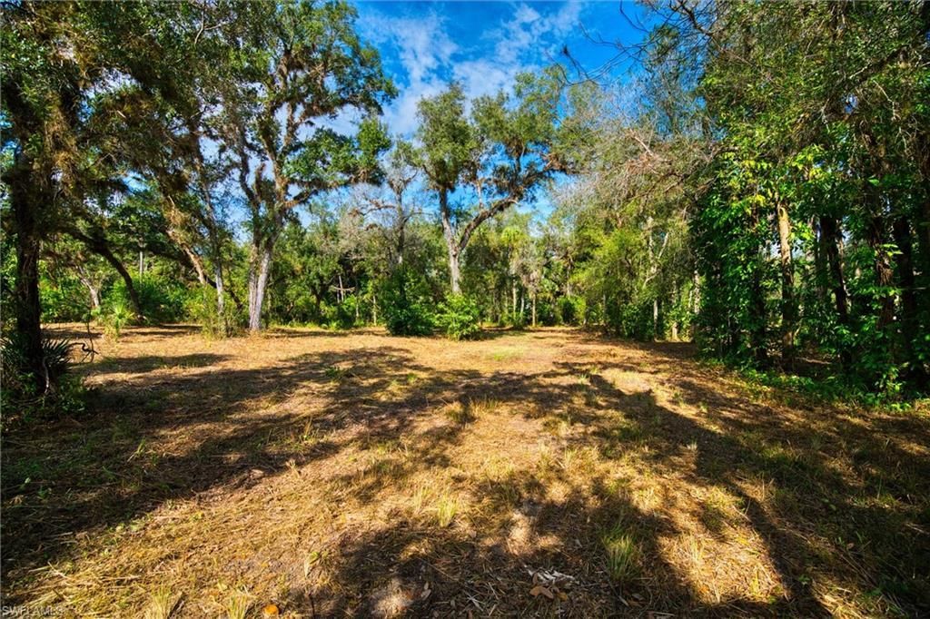 14221 River Rd, Fort Myers, FL 33905 Photo