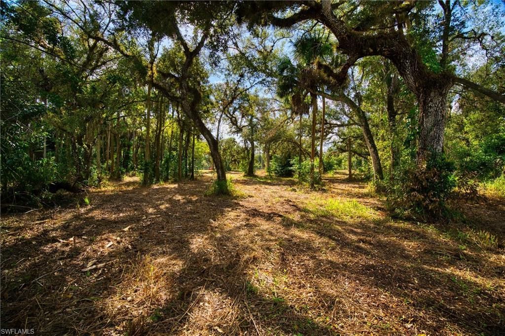 14221 River Rd, Fort Myers, FL 33905 Photo