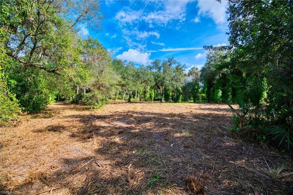 14221 River Rd, Fort Myers, FL 33905 Photo