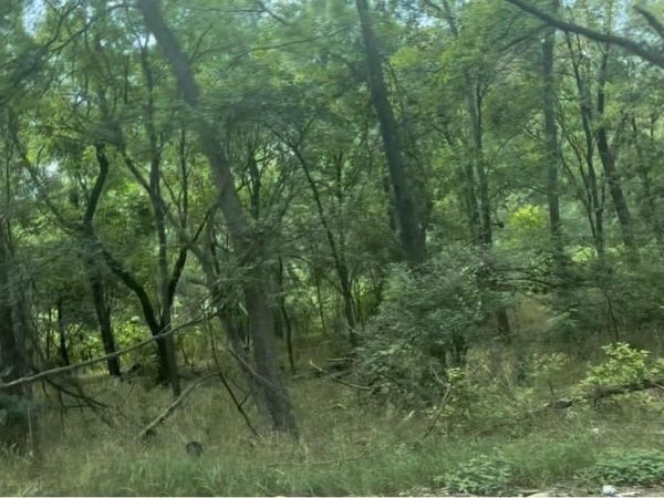 4102 Lower DR, Austin, TX 78725