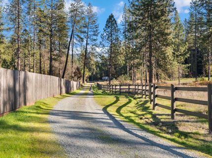 16558 Frenchtown Rd, Brownsville, CA 95919 Photo