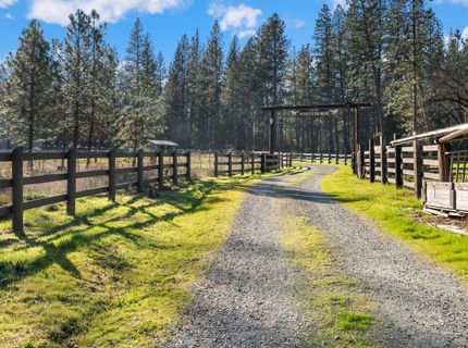 16558 Frenchtown Rd, Brownsville, CA 95919 Photo