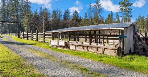 16558 Frenchtown Rd, Brownsville, CA 95919 Photo