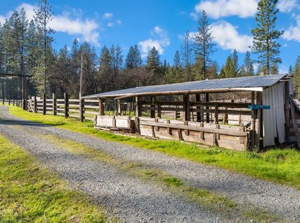 16558 Frenchtown Rd, Brownsville, CA 95919 Photo