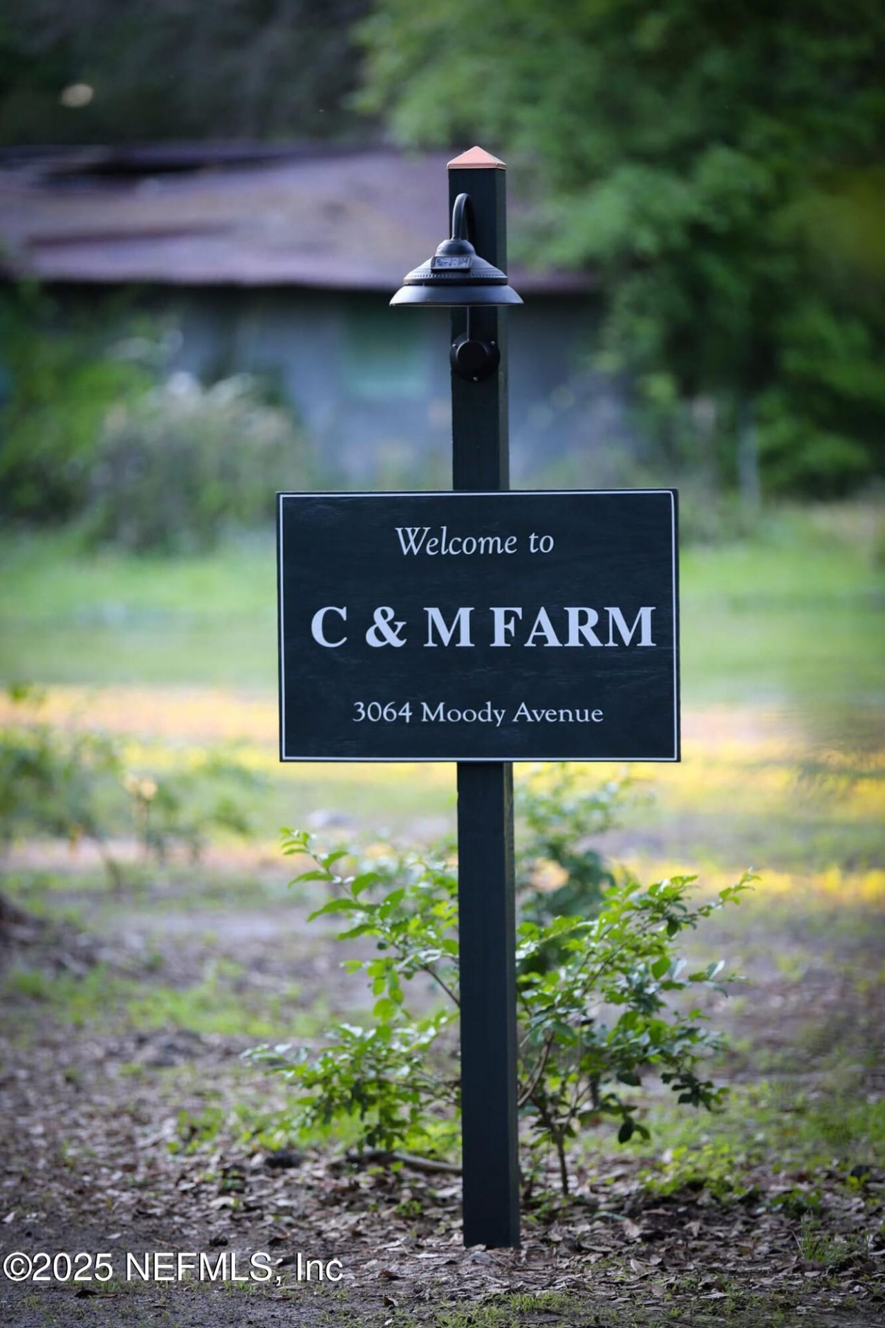 3064 Moody Avenue, Orange Park, FL 32065 Main Photo