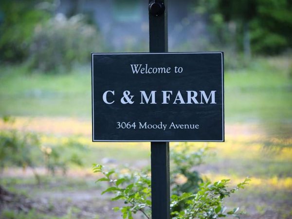 3064 MOODY Avenue, Orange Park, FL 32065