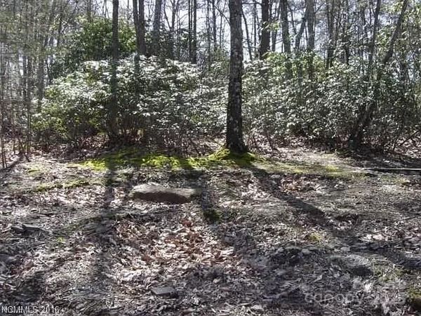 91 Old Forge Drive , Bostic, NC 28018