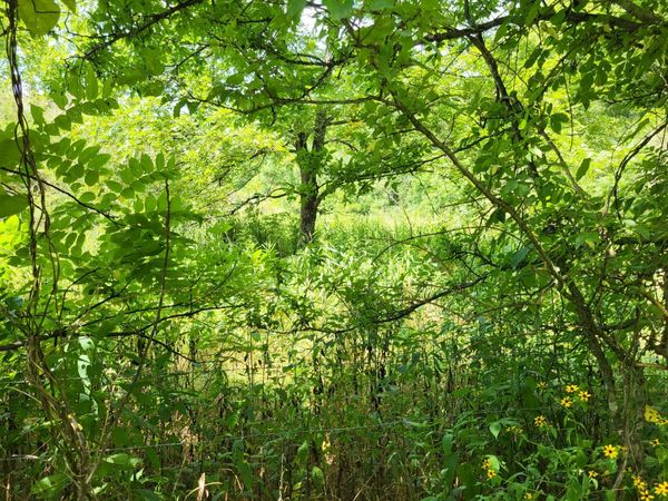 0 Felton Rd, Memphis, TN 38128