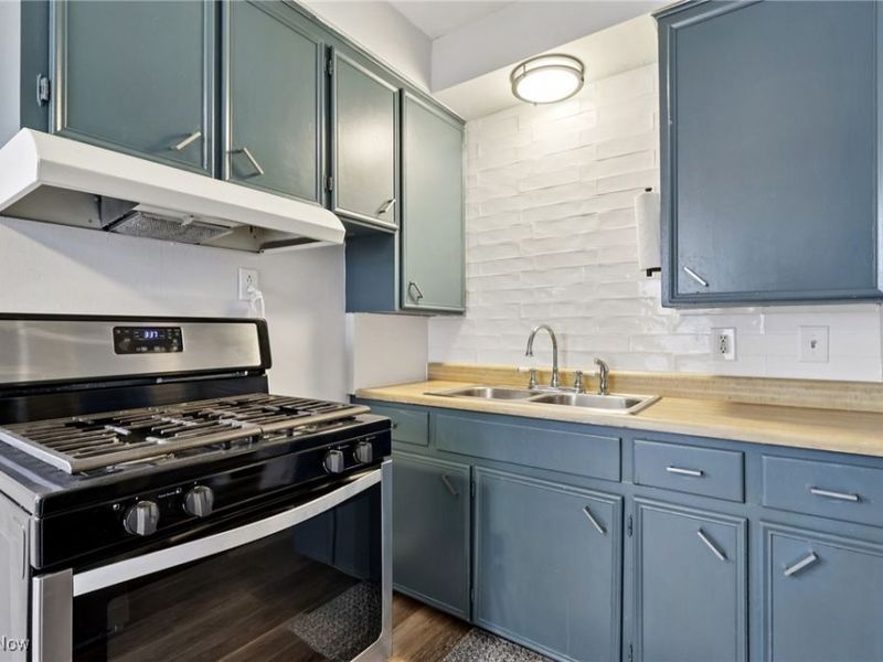 244 E Catawba Avenue, Akron, OH 44301 Photo 10